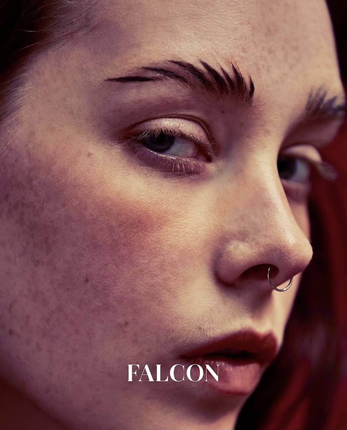 FALCON magazine